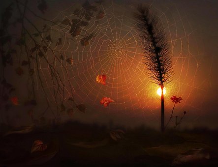 Noche, Otoño, Sol, Atardecer, Web