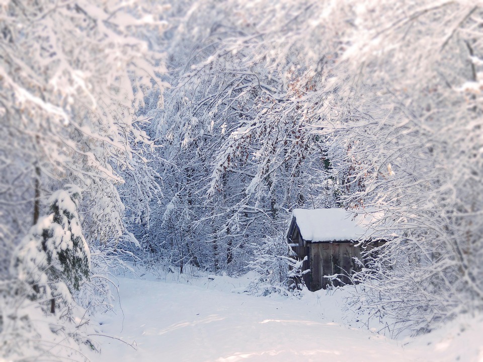 Neve Floresta Caminho - Foto gratuita no Pixabay