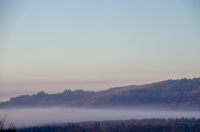 Free Fog Nature photo and picture