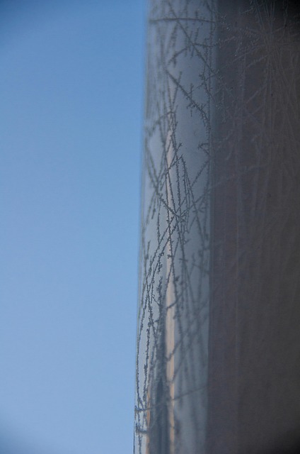 Free Winter Frost photo and picture