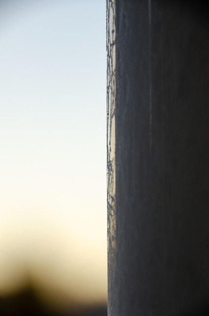 Free Sunrise Frost photo and picture