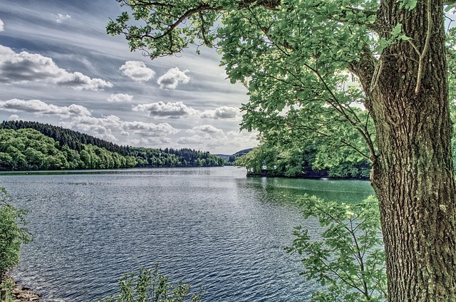 Free Landscape Nature photo and picture