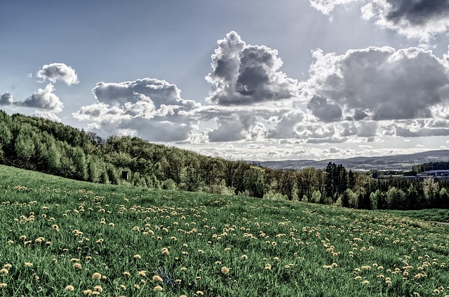 Free Nature Landscape photo and picture