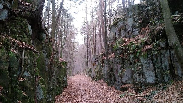 Felsen, Müllerthal, Bäume, Wald