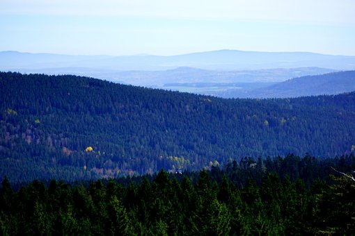 Bjerge, Højland, Fichtelgebirge, Skov