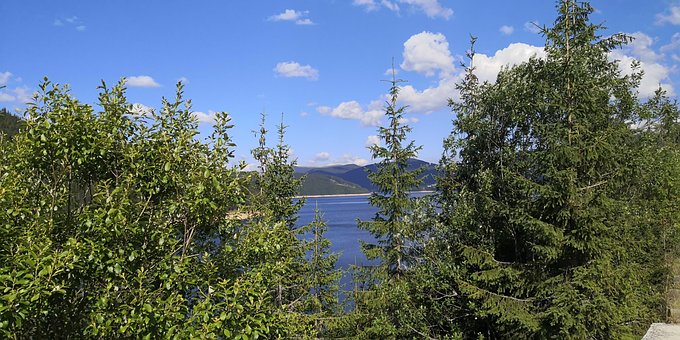 Sommer, Sø, Skov, Himmel