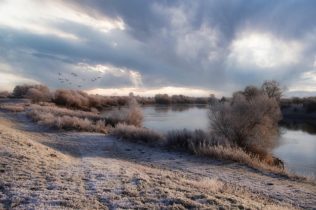 Free Flow Winter photo and picture