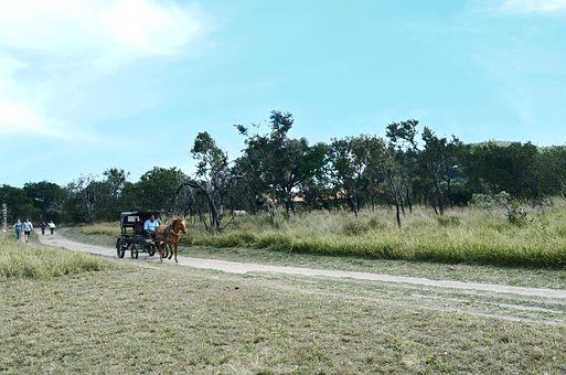 Free Horse Ride National Park photo and picture
