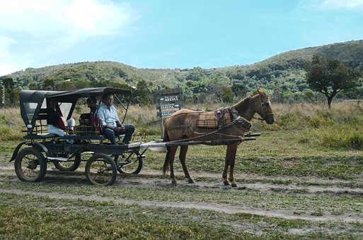 Free Horse Ride National Park photo and picture