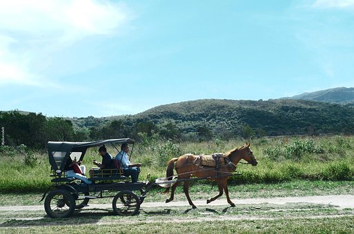 Free Horse Ride National Park photo and picture