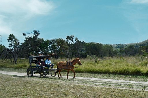 Free Horse Ride National Park photo and picture