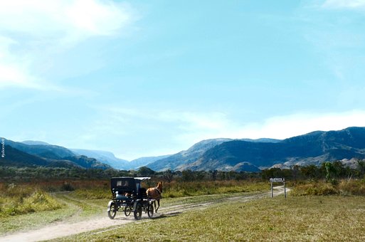 Free Horse Ride National Park photo and picture