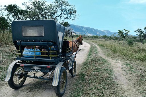 Free Horse Ride National Park photo and picture
