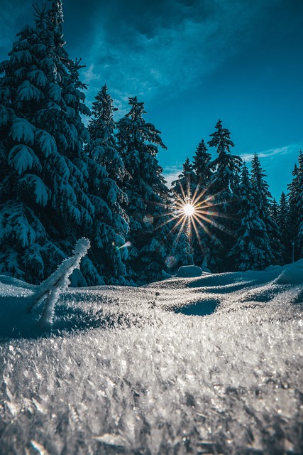 Snø, Natur, Krystall, Frost, Sol