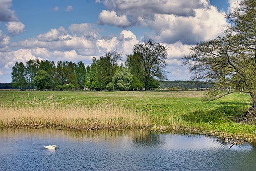 Free Sky Spring photo and picture