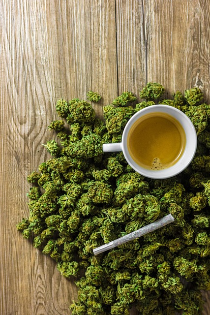 Free Cbd Hemp photo and picture