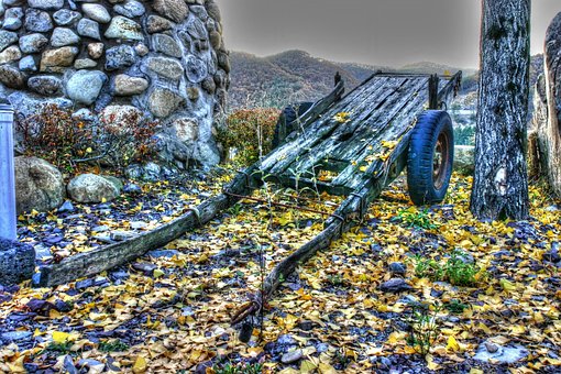 Free Retirement Cart photo and picture