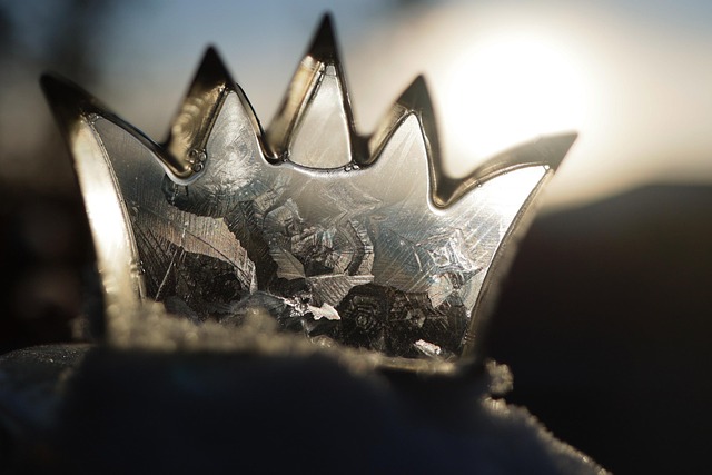 Free Crown Frozen photo and picture