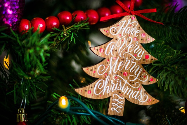 Free Christmas Decoration photo and picture