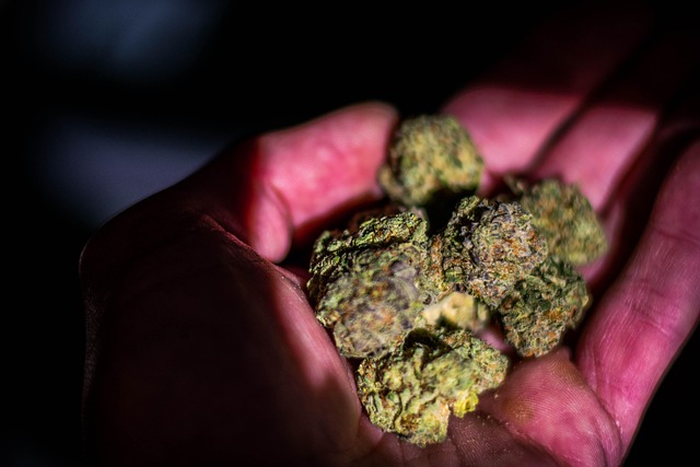 Free Pot Weed photo and picture