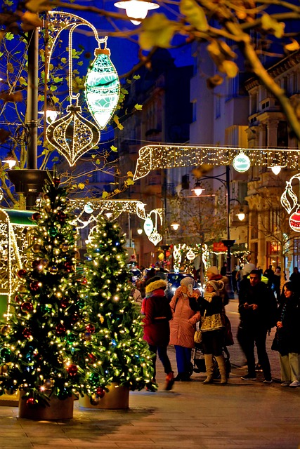 Free Holidays Street photo and picture