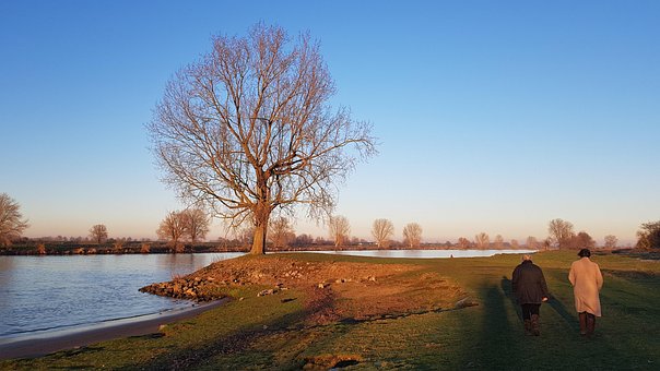 Baum, Fluss, Landschaft, Sonnenlicht