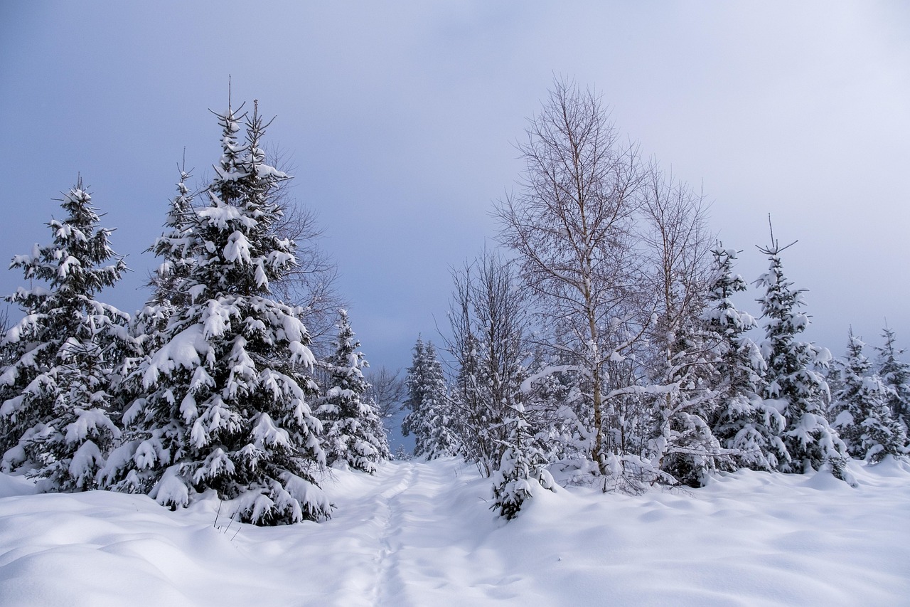 Winter - free online jigsaw puzzle photo