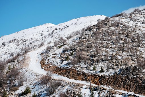 Free Snow Winter photo and picture