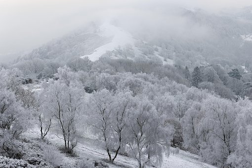 Free Mountain Fog photo and picture