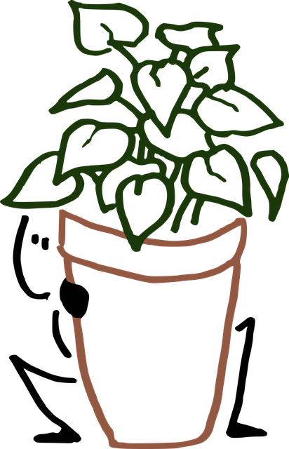 Free Hiding Place To Spy illustration and picture
