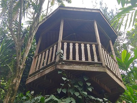 Free Nature Woodw photo and picture