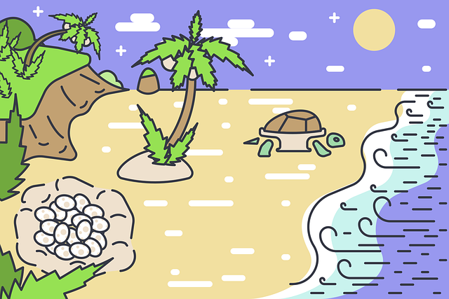 Free turtle egg laying reproduction vector