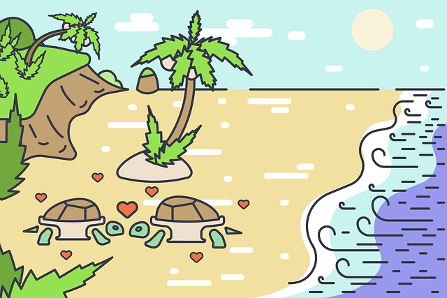 Free turtles turtle mating season vector