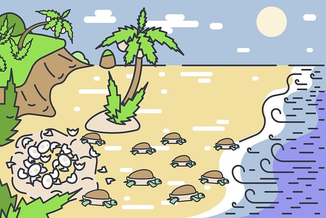Free turtles kids reproduction vector