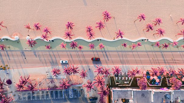 Free Beach Pink photo and picture