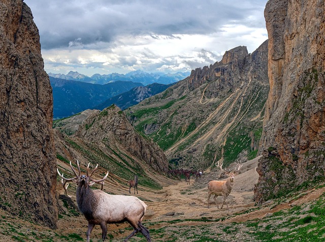 Contexte Montagnes Les Sentiers - Image gratuite sur Pixabay
