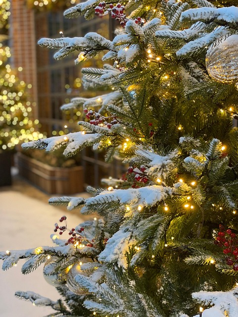Free Christmas Tree photo and picture