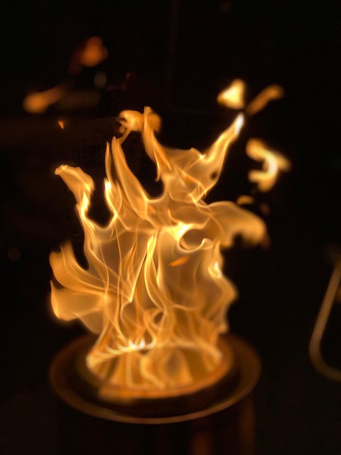 Free Fire Bonfire photo and picture