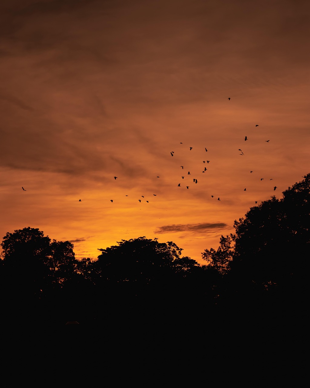 Pixabay Pixabay pixabay-pixabay