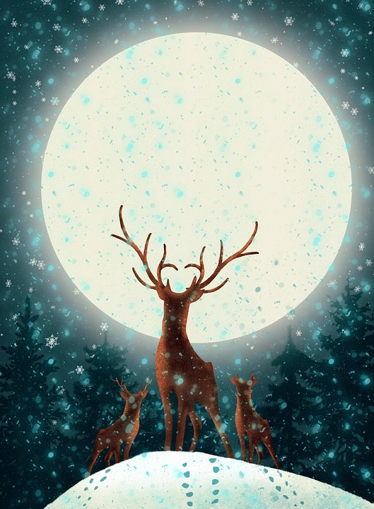 Download Deer, Moon, Night. RoyaltyFree Stock Illustration Image Pixabay