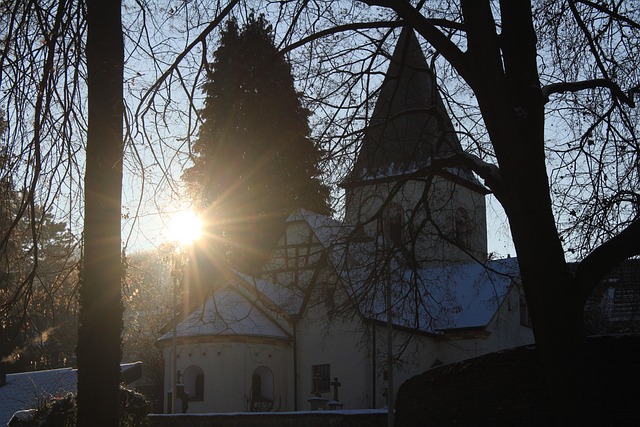 Free Christmas Snow photo and picture