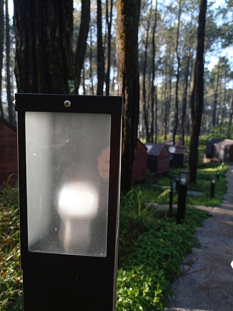 Free Light Electricity photo and picture