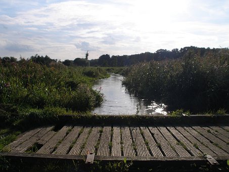 Brücke, Fluss, Aue, Natur, Moor