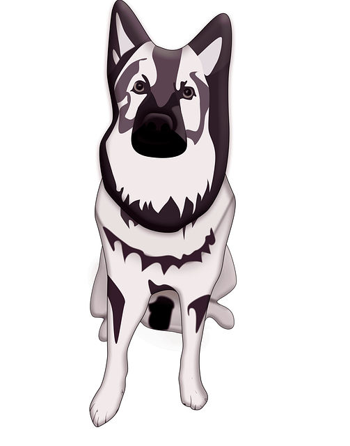 Free Dog Canine illustration and picture