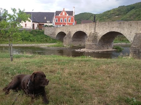 Ahrtal, Ahr, Brücke, Labrador