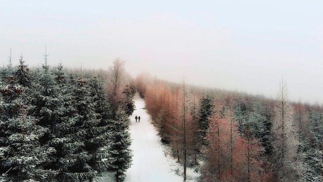Free Winter Snow photo and picture