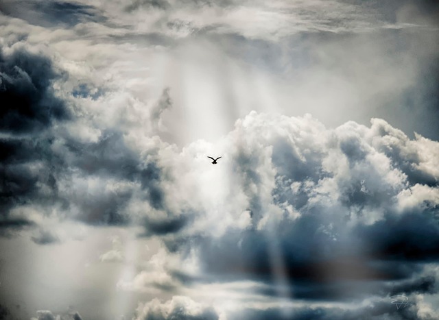 Free Falcon Clouds photo and picture