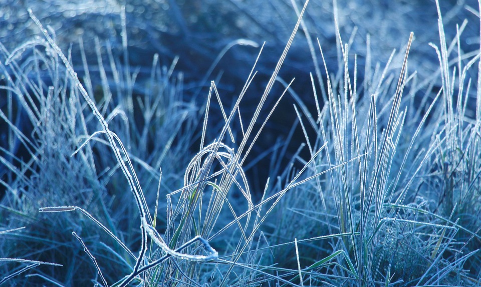 Rawa Dry Free photo on Pixabay