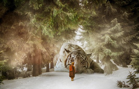 Free Fantasy Composing photo and picture