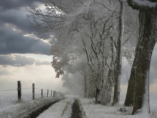 Vinter, Sne, Landskab, Eifel, Kold